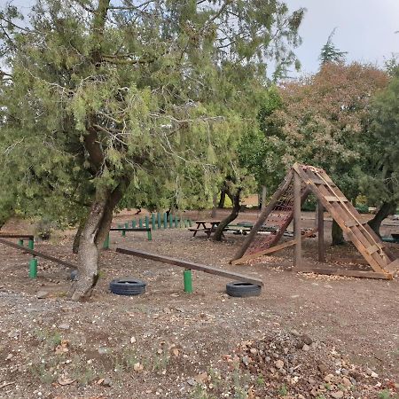 Appartamento פינה חמה ברמה Ein Zivan Esterno foto
