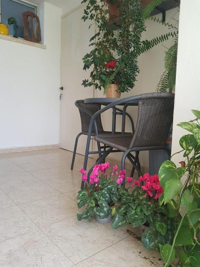 Appartamento פינה חמה ברמה Ein Zivan Esterno foto