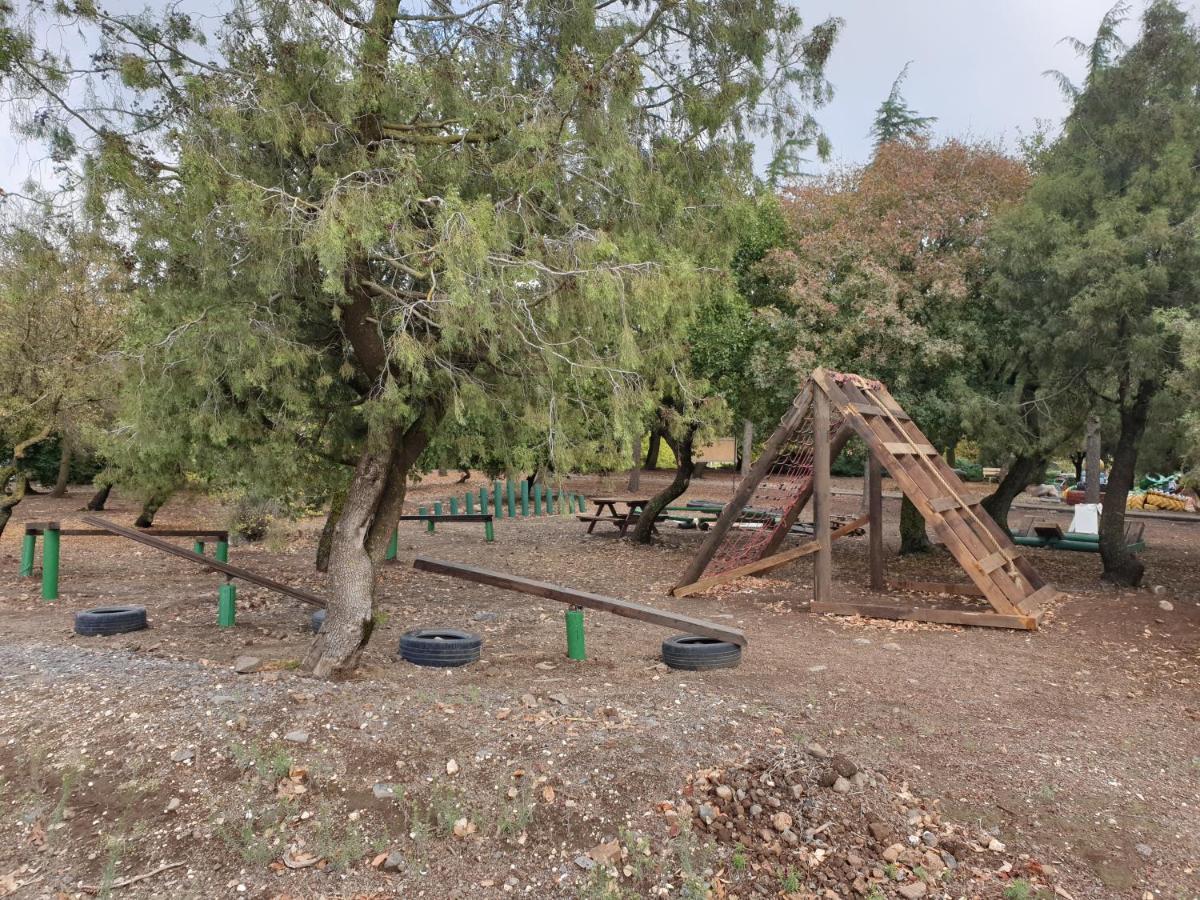Appartamento פינה חמה ברמה Ein Zivan Esterno foto