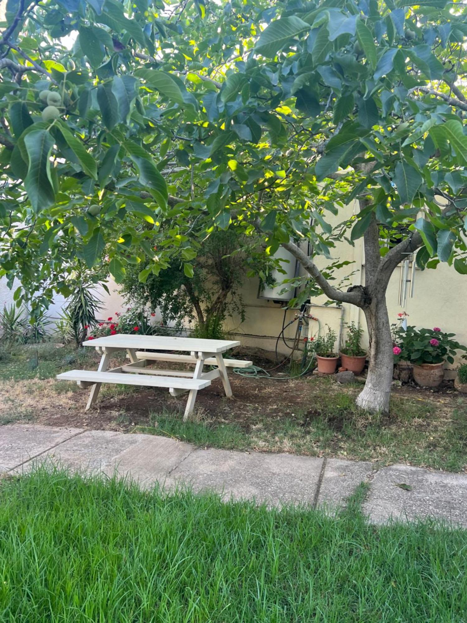 Appartamento פינה חמה ברמה Ein Zivan Esterno foto